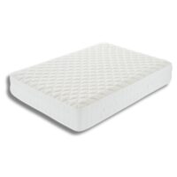 Orthopure NE-1500 LX from the Naturally Evolved Collection