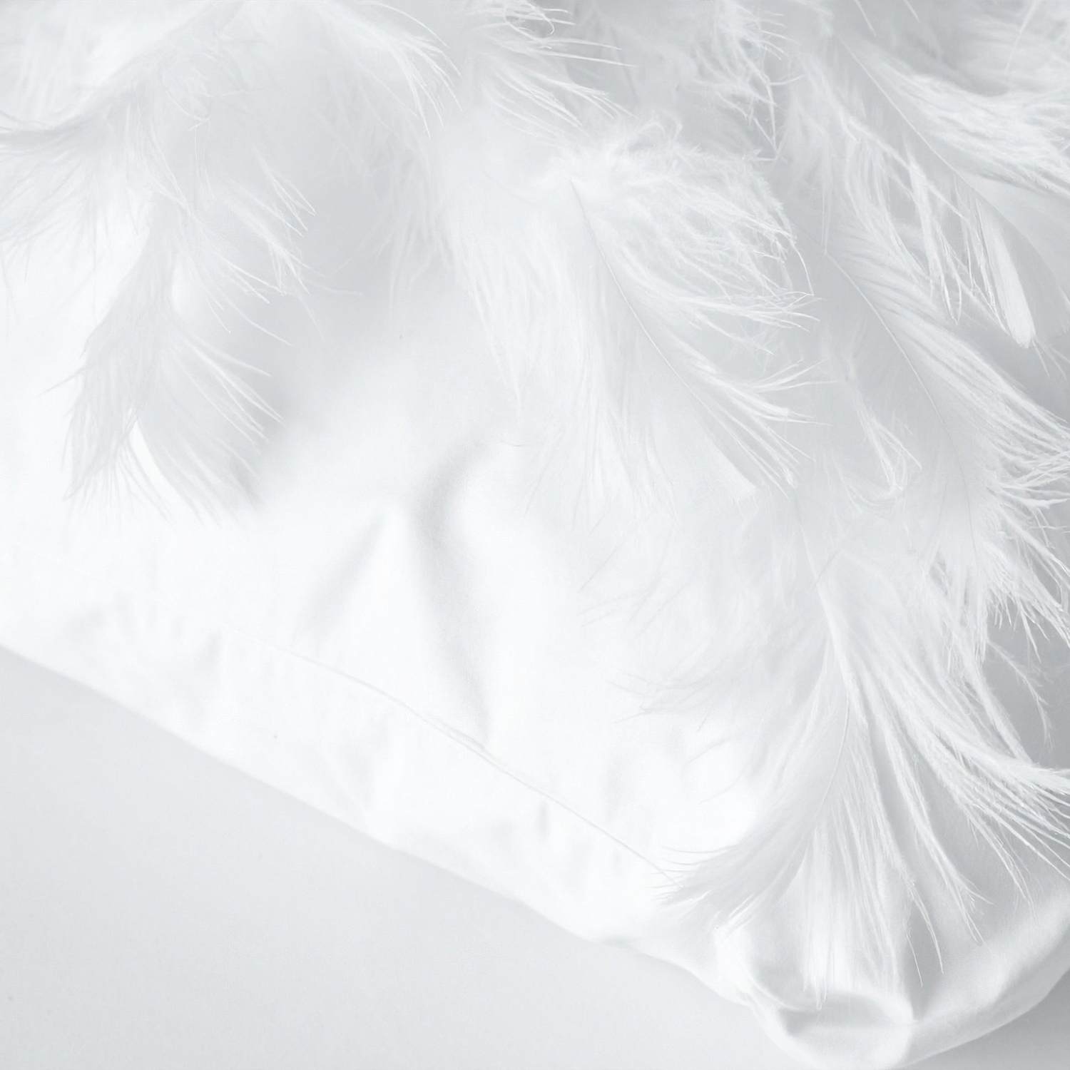 Duck feather and down