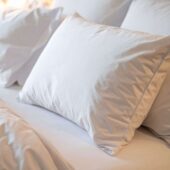 Goose feather Goose feather and down pillow