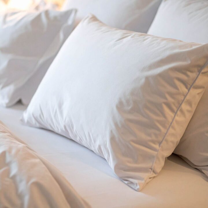 Goose feather and down pillow