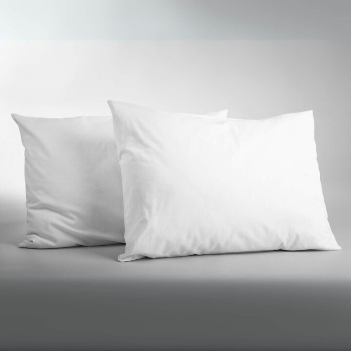 Pack of two five star hotel luxury pillows